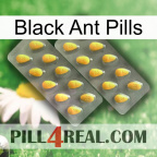 Black Ant Pills cialis2